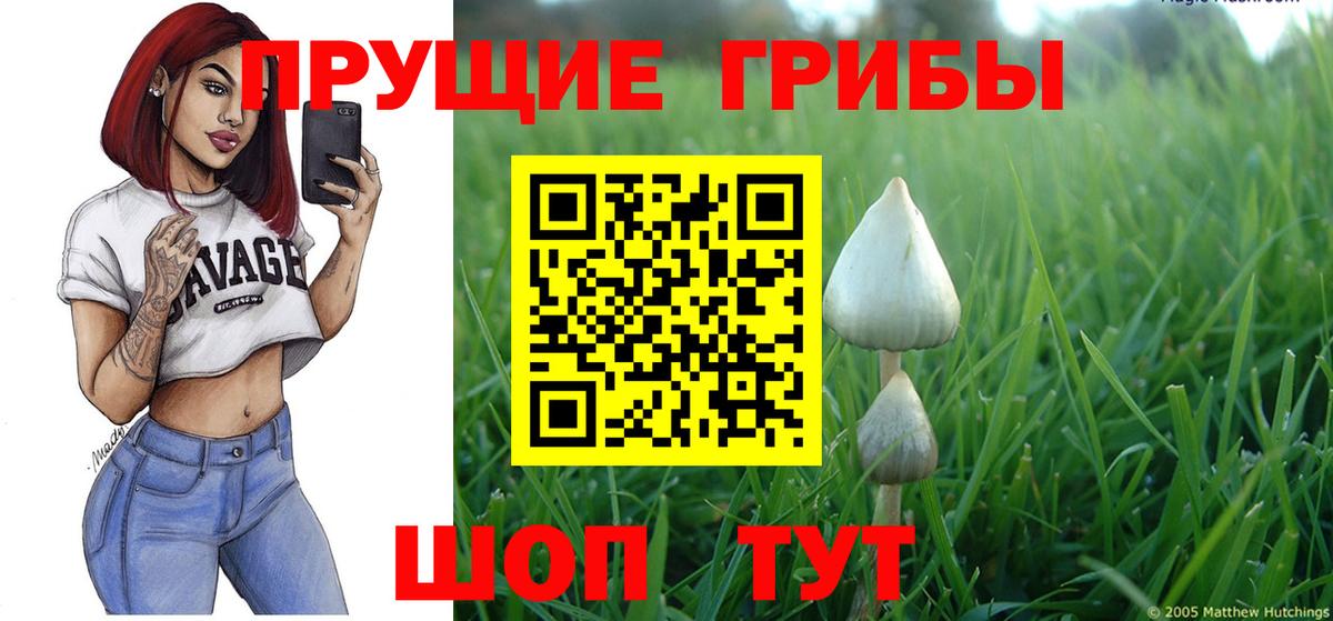 как найти закладки  Вход с VPN  Славгород  Галлюциногенные грибы мухоморы 